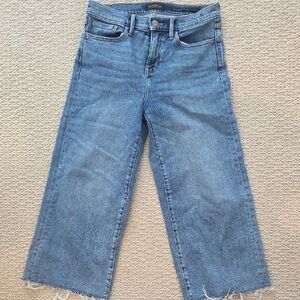 Banana Republic Blue Flare Wide Leg Jeans